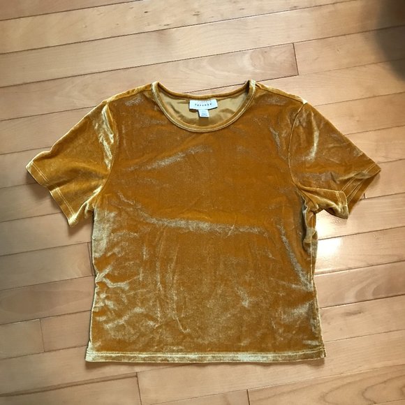 Topshop Velvet Short Sleeve- Size 6 - Picture 6 of 7